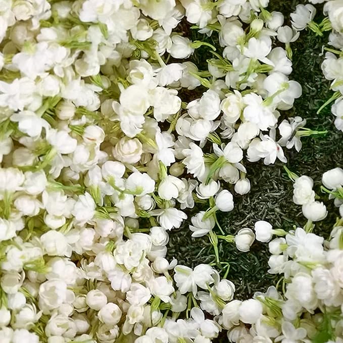 MidnightJasmine—Transform Your Home Into A Scented Sanctuary + 50% OFF - Image 10