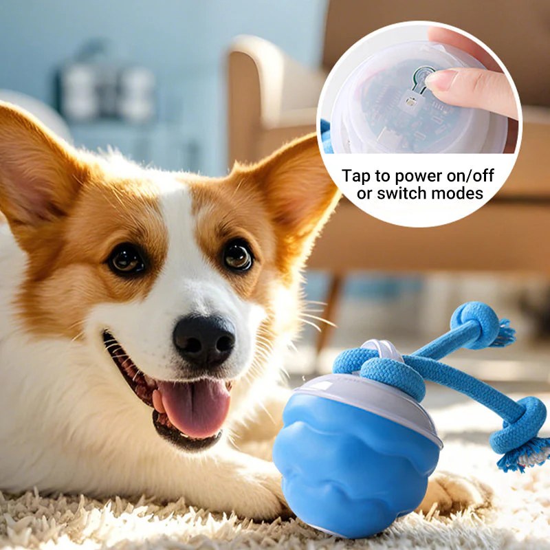 The AuraBounce Interactive Pet Ball - Smart, Automatic, and Teeth-Grinding Fun + 50% OFF - Image 5